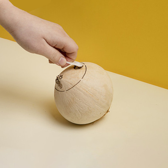 [TROBEE]간편한 섭취, 건강하고 맛있는 산지 직수입 코코넛 6개 1BOX